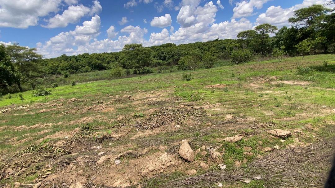 Bare land preparation