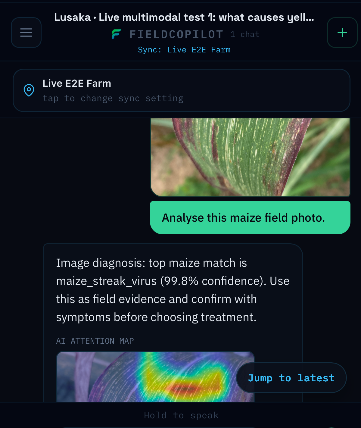 FieldGuide image analysis result with diagnosis context and recommended next steps