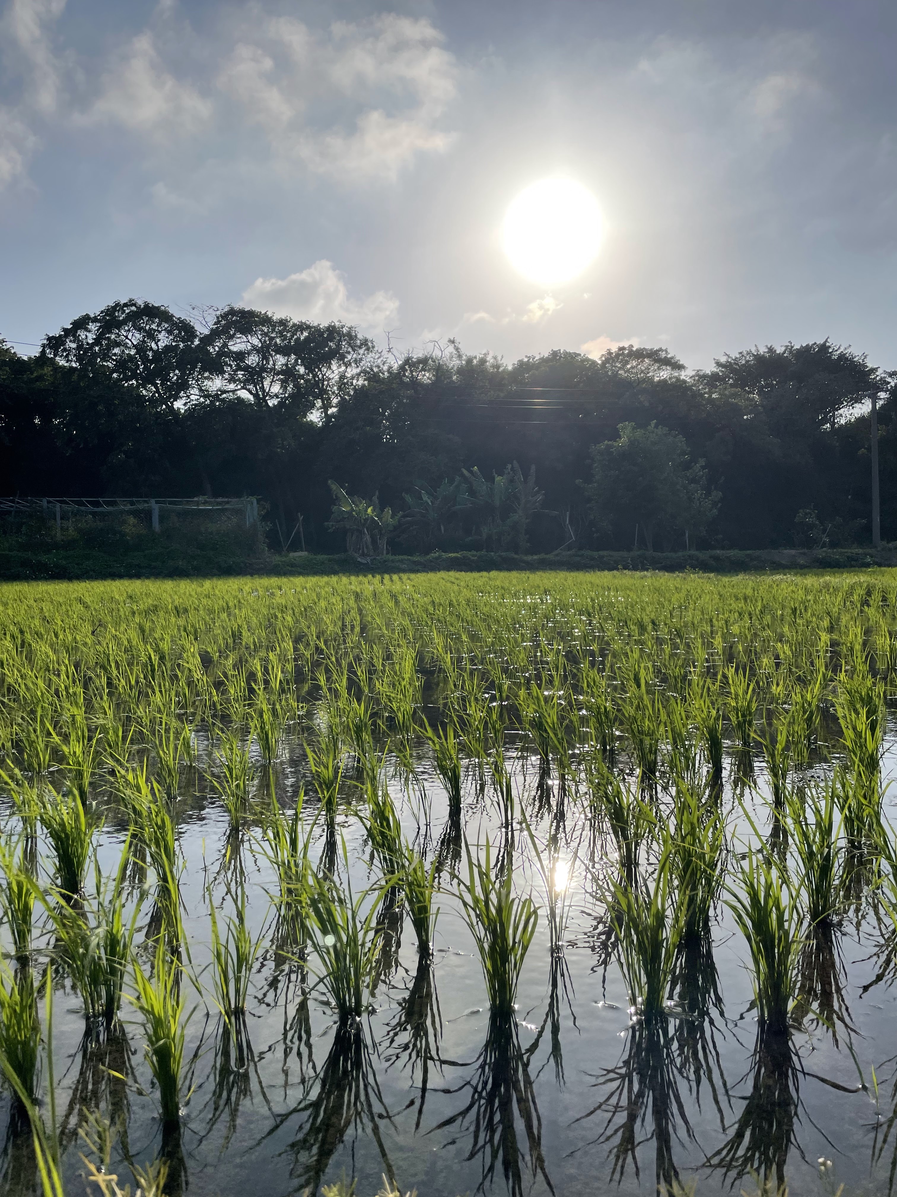 Field conditions - the environments FieldGuide is built for