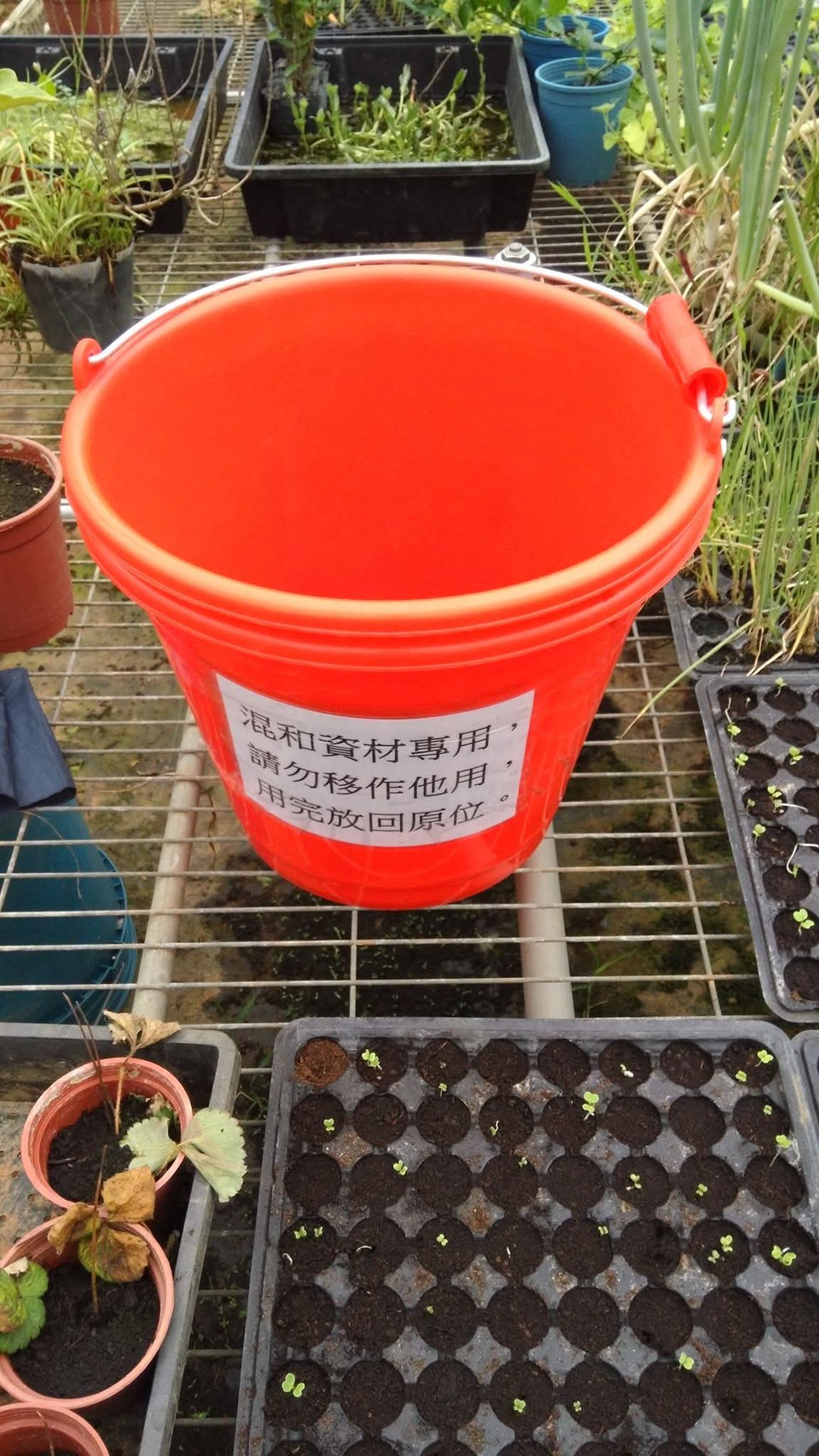 Hands-on engagement with farm realities